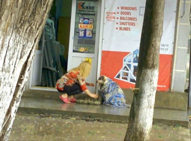Life Is Beautiful (49 pics)
