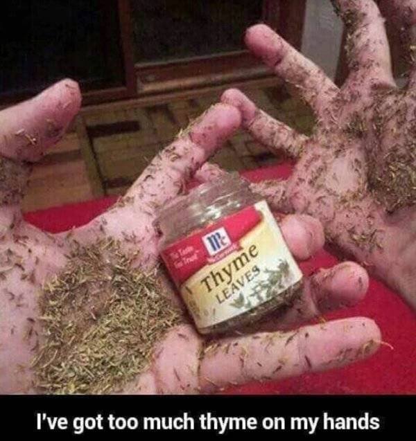 Culinary Memes (29 pics)