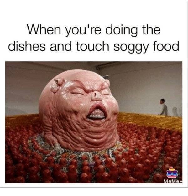 Culinary Memes (29 pics)