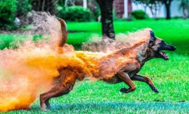 Interesting Finds (47 pics)
