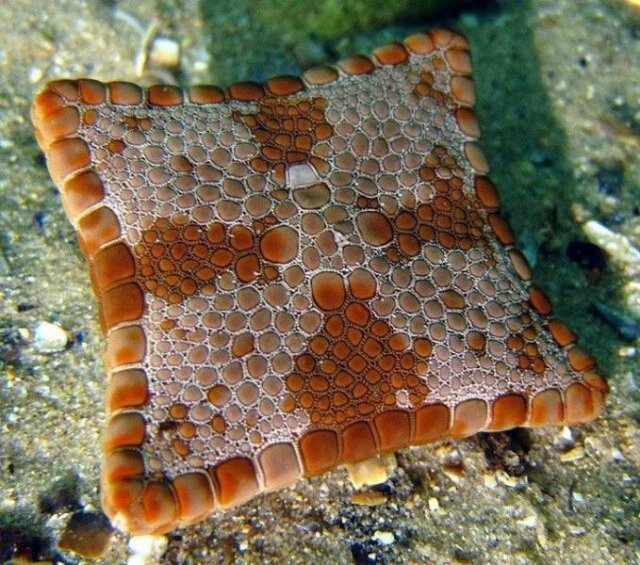 Interesting Finds (47 pics)