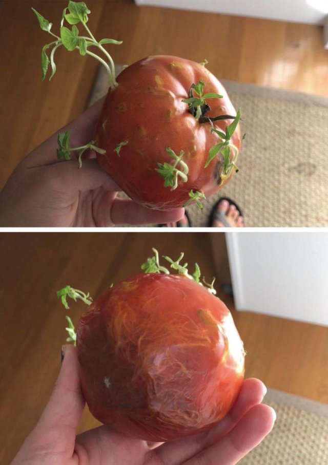 Interesting Finds (47 pics)