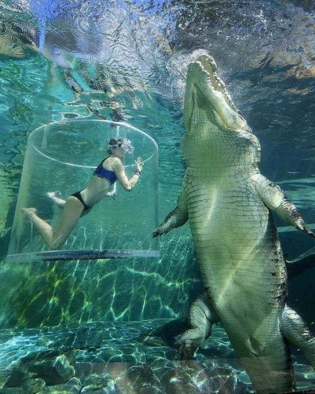 Interesting Finds (47 pics)
