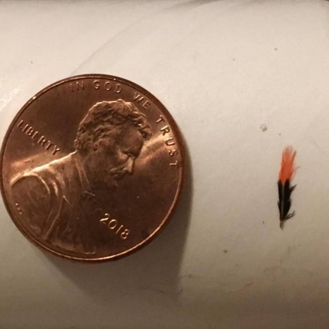 Interesting Finds (47 pics)