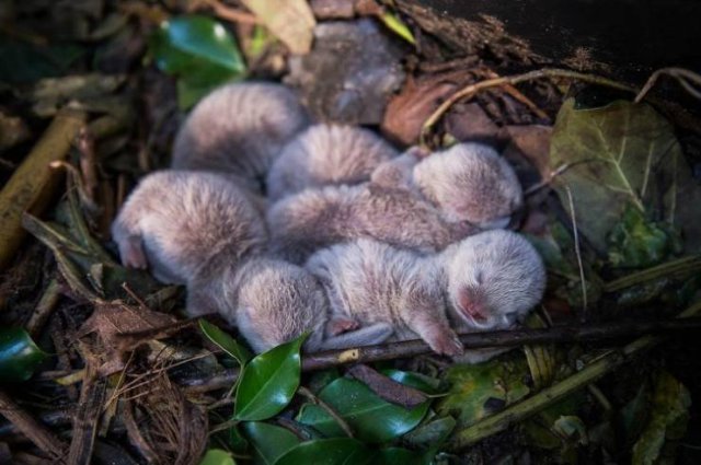 Interesting Finds (47 pics)