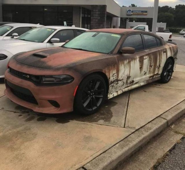 Interesting Finds (47 pics)
