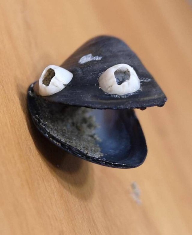 Interesting Finds (47 pics)