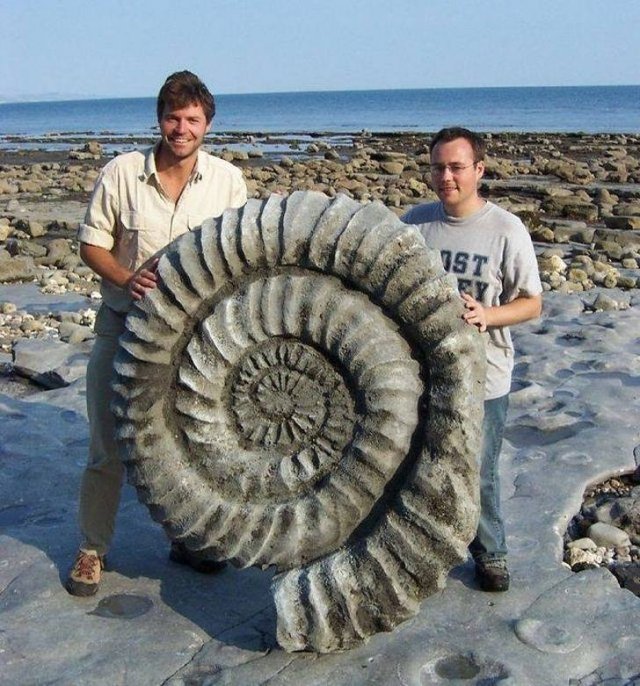 Interesting Finds (47 pics)