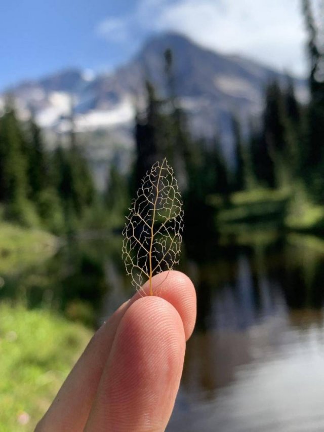 Interesting Finds (47 pics)