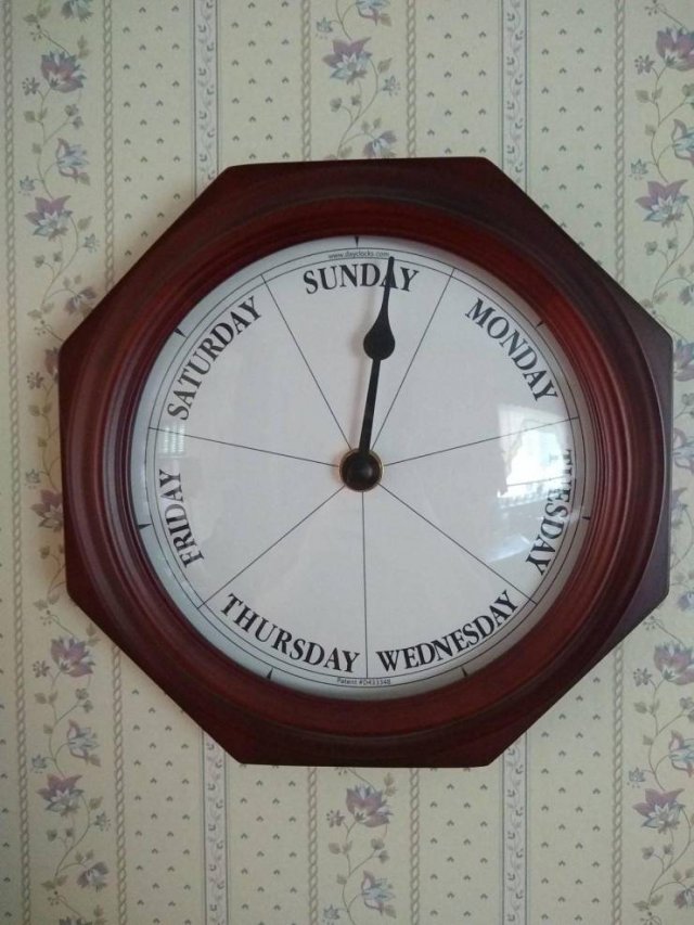 Interesting Finds (47 pics)