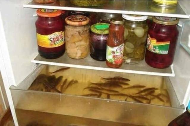 What Is Going On Here? (23 pics)
