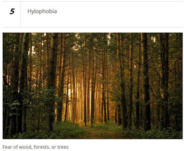 Unusual Phobias (25 pics)