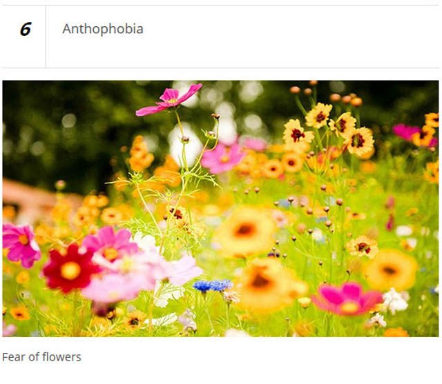 Unusual Phobias (25 pics)