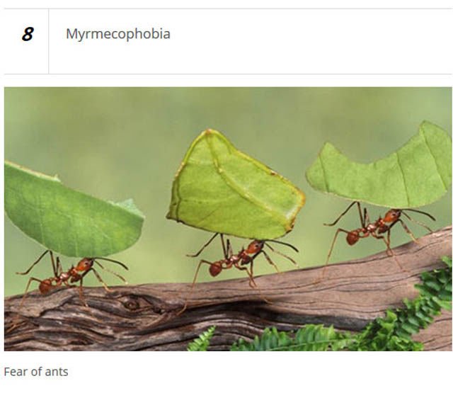 Unusual Phobias (25 pics)
