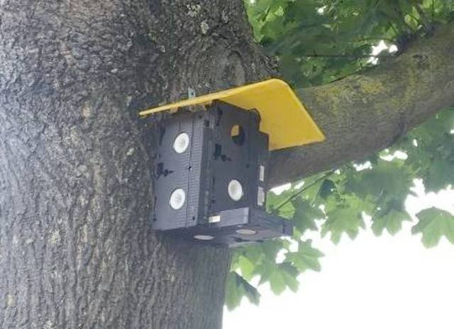 That's Really Weird (25 pics)
