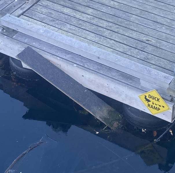 Unusual Discoveries In Different Countries (20 pics)
