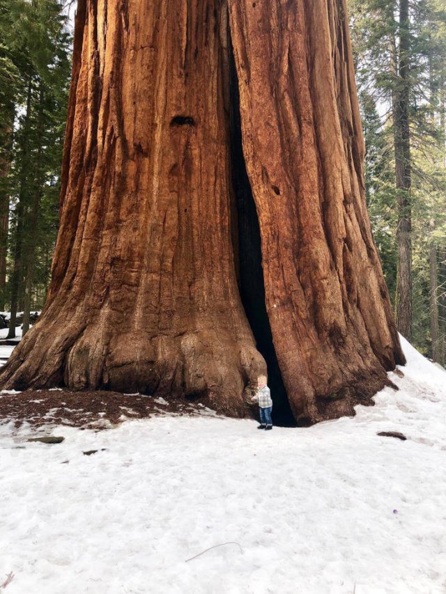 Unusual Discoveries In Different Countries (20 pics)
