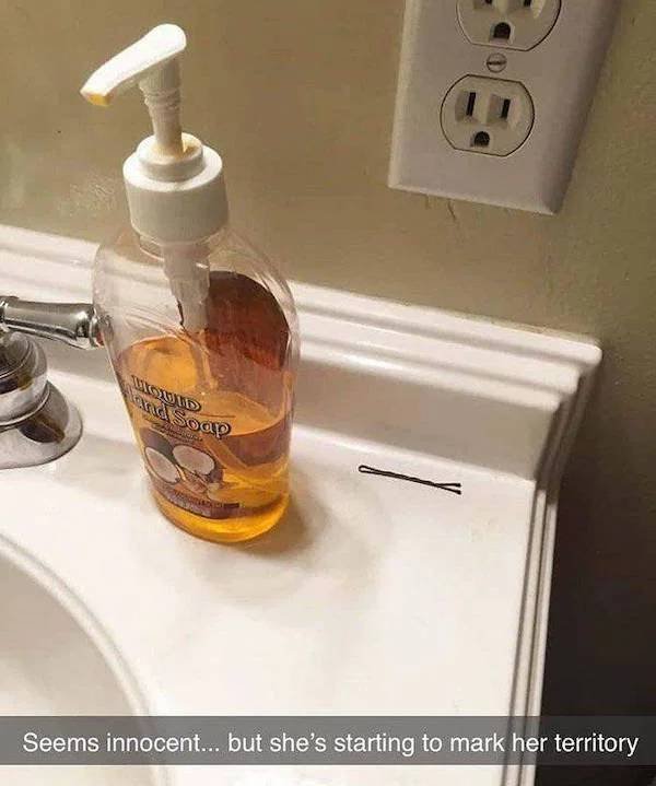 Truthful Memes (34 pics)
