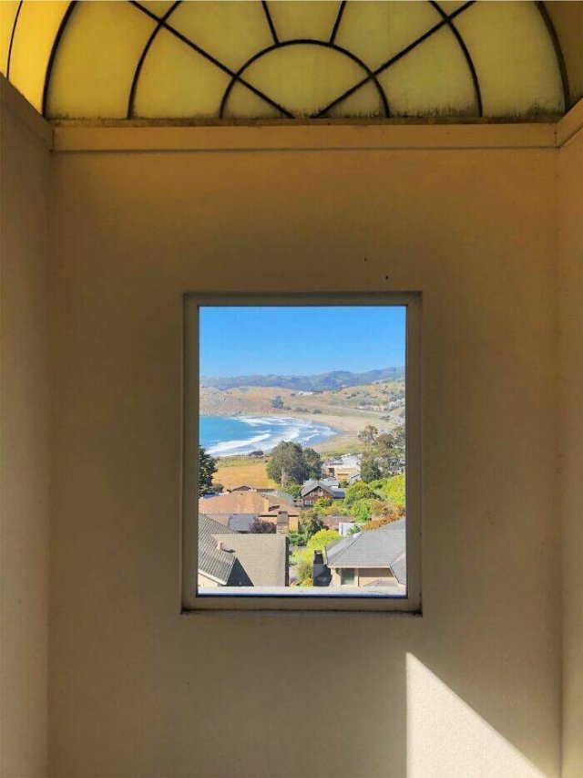 Something Unusual Outside The Window (25 pics)