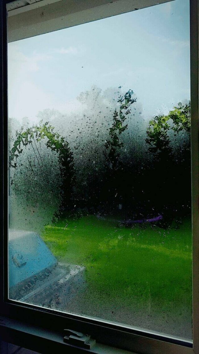 Something Unusual Outside The Window (25 pics)