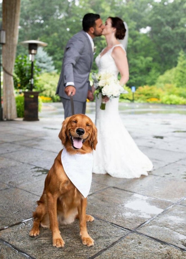 Life Is Beautiful (40 pics)