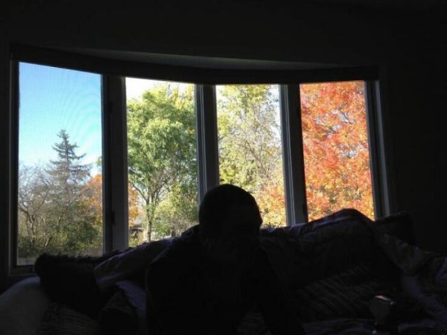 Something Unusual Outside The Window (25 pics)