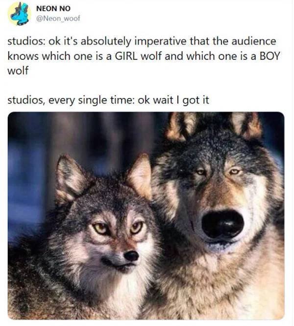 Truthful Memes (34 pics)