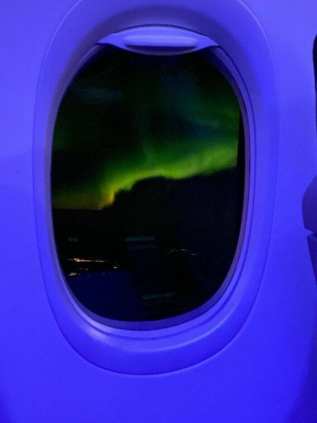 Something Unusual Outside The Window (25 pics)