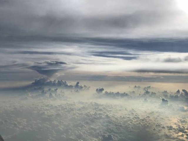 Something Unusual Outside The Window (25 pics)