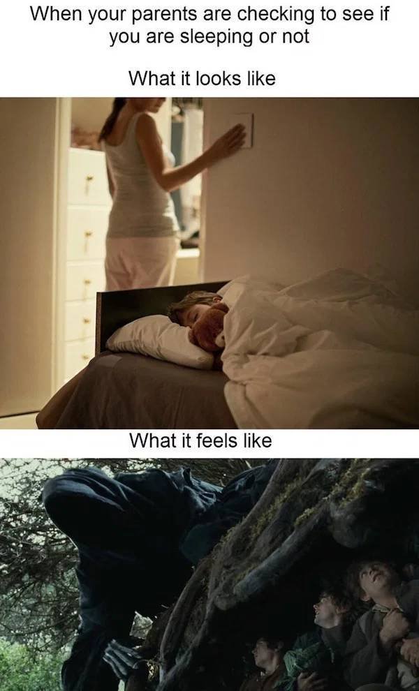 Truthful Memes (34 pics)