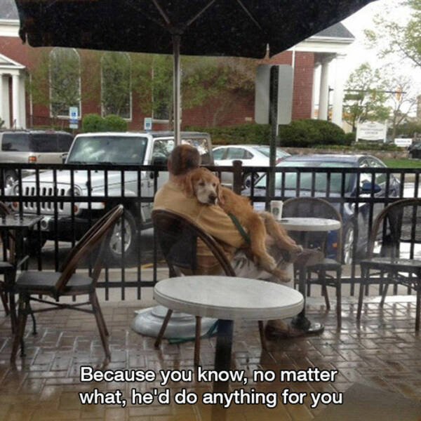 Life Is Beautiful (40 pics)