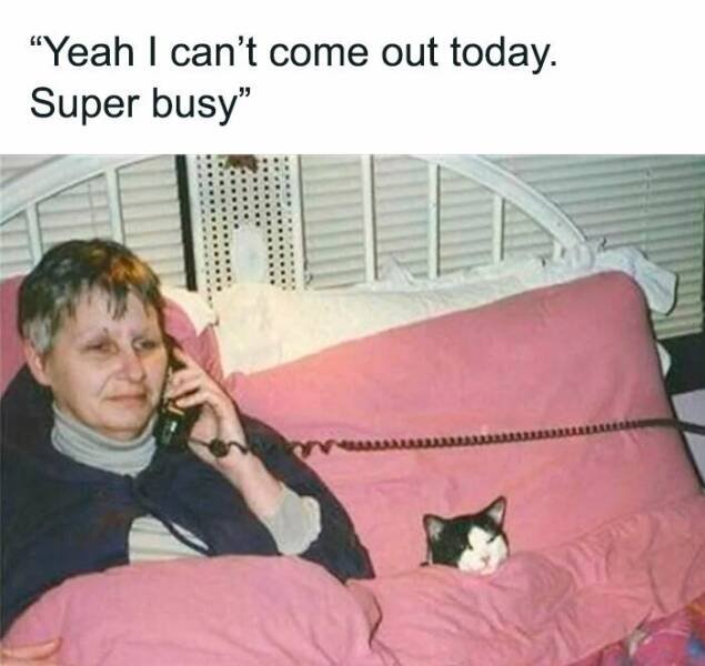 Memes For Introverts (22 pics) Memes For Introverts (22 pics)