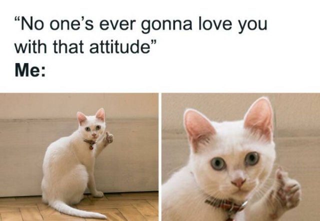 Memes For Introverts (22 pics) Memes For Introverts (22 pics)