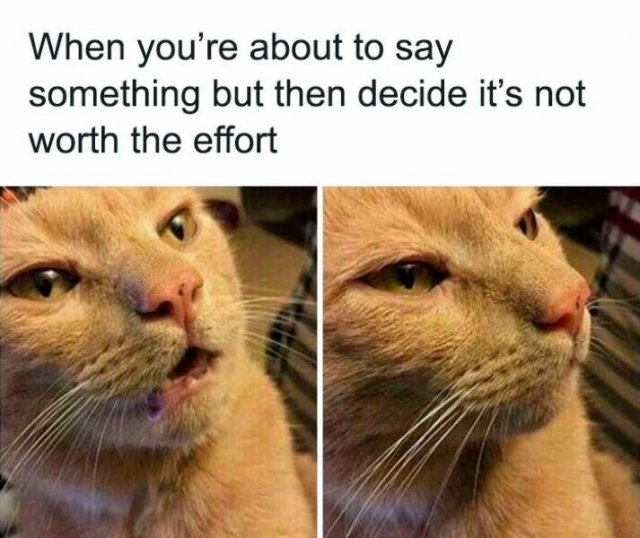 Memes For Introverts (22 pics) Memes For Introverts (22 pics)