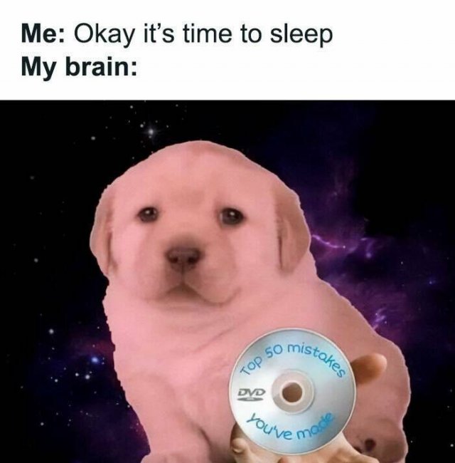 Memes For Introverts (22 pics) Memes For Introverts (22 pics)