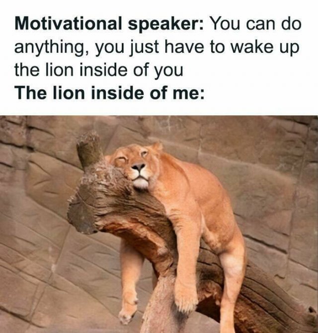 Memes For Introverts (22 pics) Memes For Introverts (22 pics)