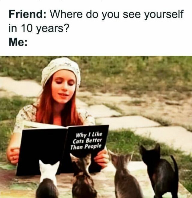 Memes For Introverts (22 pics) Memes For Introverts (22 pics)