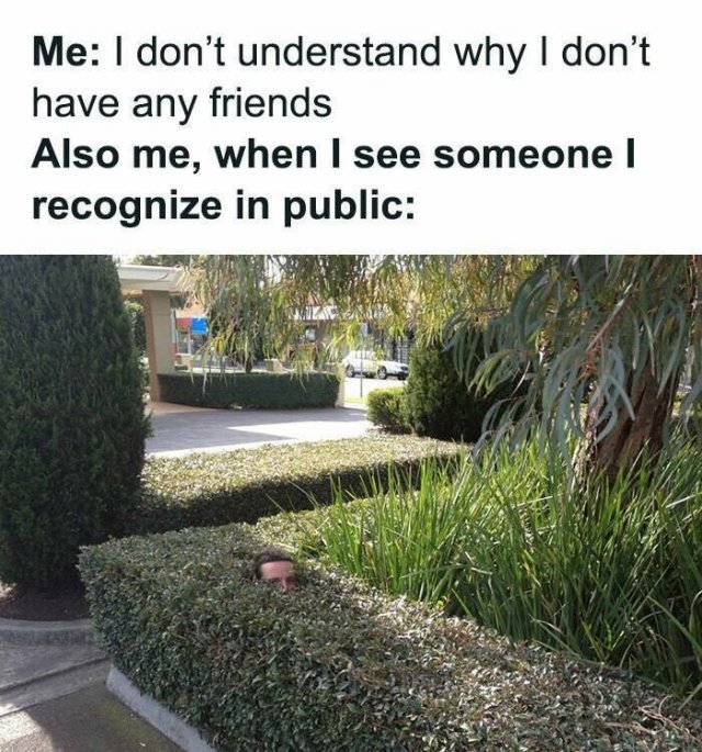 Memes For Introverts (22 pics) Memes For Introverts (22 pics)