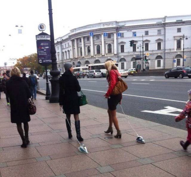 What Is Going On Here? (49 pics) What Is Going On Here? (49 pics)
