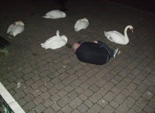 What Is Going On Here? (49 pics) What Is Going On Here? (49 pics)