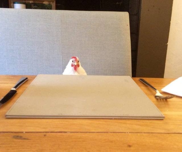 What Is Going On Here? (49 pics) What Is Going On Here? (49 pics)