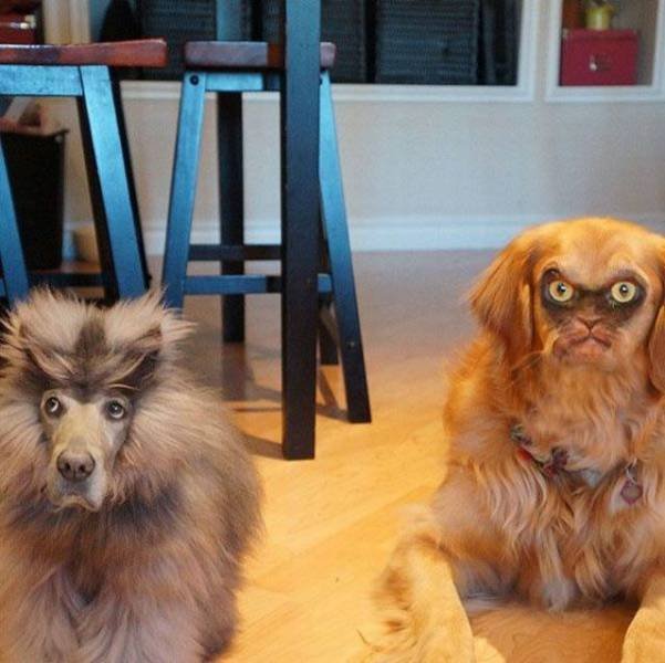 What Is Going On Here? (49 pics) What Is Going On Here? (49 pics)