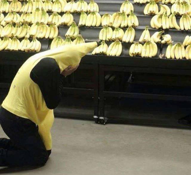 What Is Going On Here? (49 pics) What Is Going On Here? (49 pics)