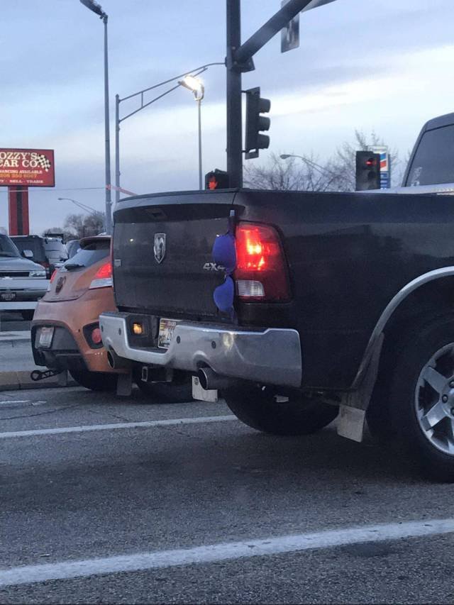 What Is Going On Here? (49 pics) What Is Going On Here? (49 pics)