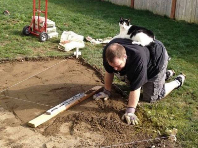 What Is Going On Here? (49 pics) What Is Going On Here? (49 pics)