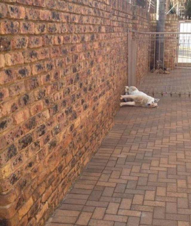 What Is Going On Here? (49 pics) What Is Going On Here? (49 pics)