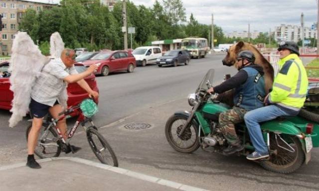 What Is Going On Here? (49 pics) What Is Going On Here? (49 pics)