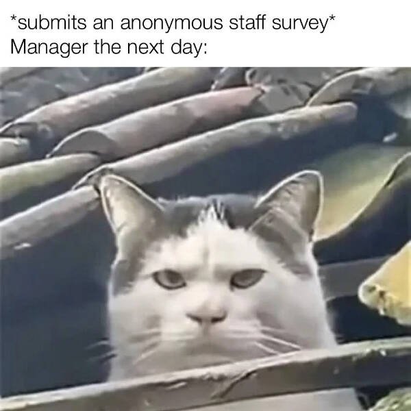 Funny Memes (23 pics)