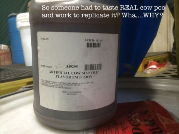 Funny Work Photos (39 pics)