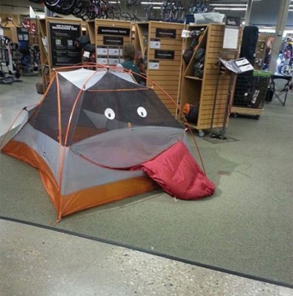 Funny Work Photos (39 pics)